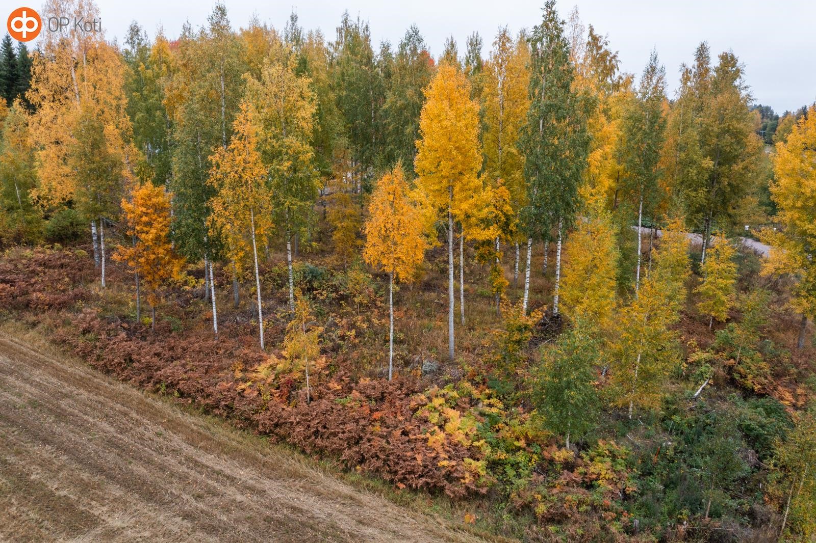 Kohdekuva 8