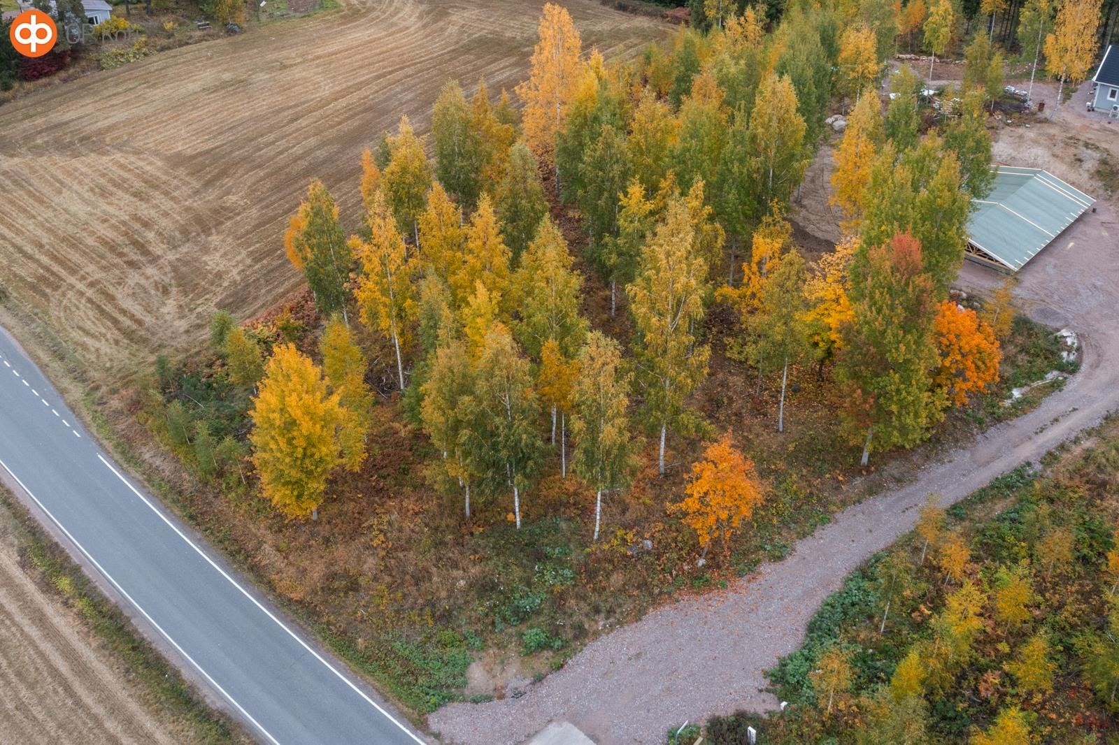 Kohdekuva 5