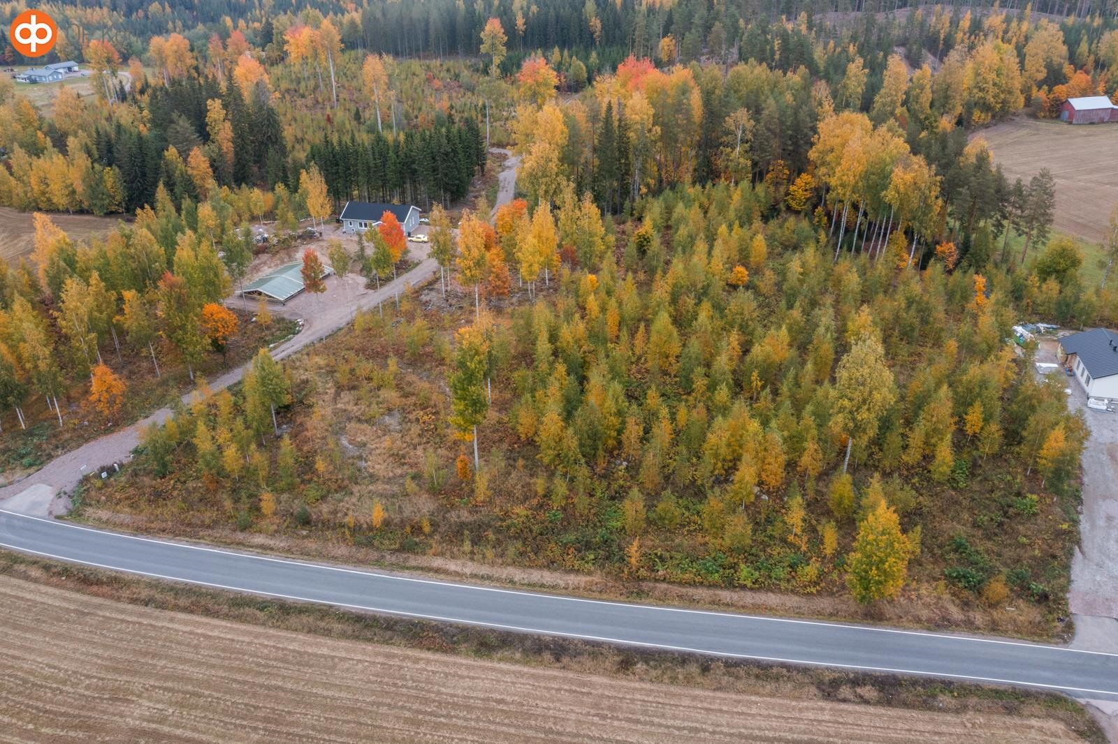 Kohdekuva 7