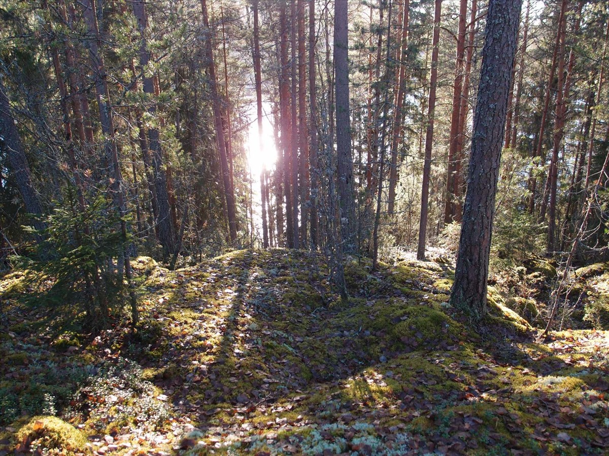 Kohdekuva 1
