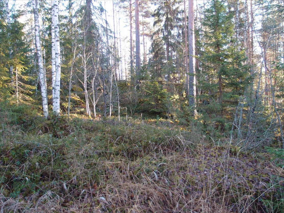 Kohdekuva 2