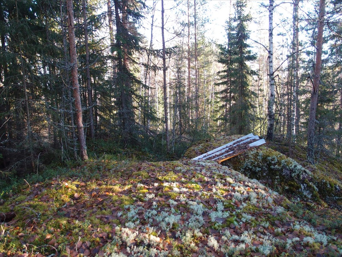 Kohdekuva 3