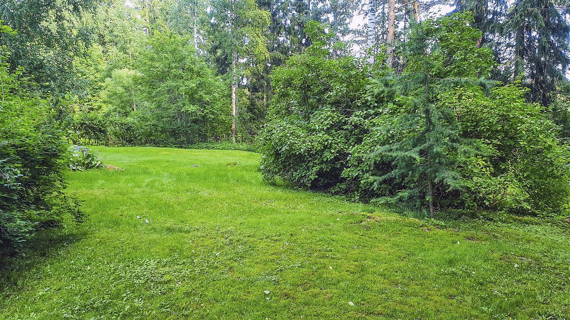 Kohdekuva 31