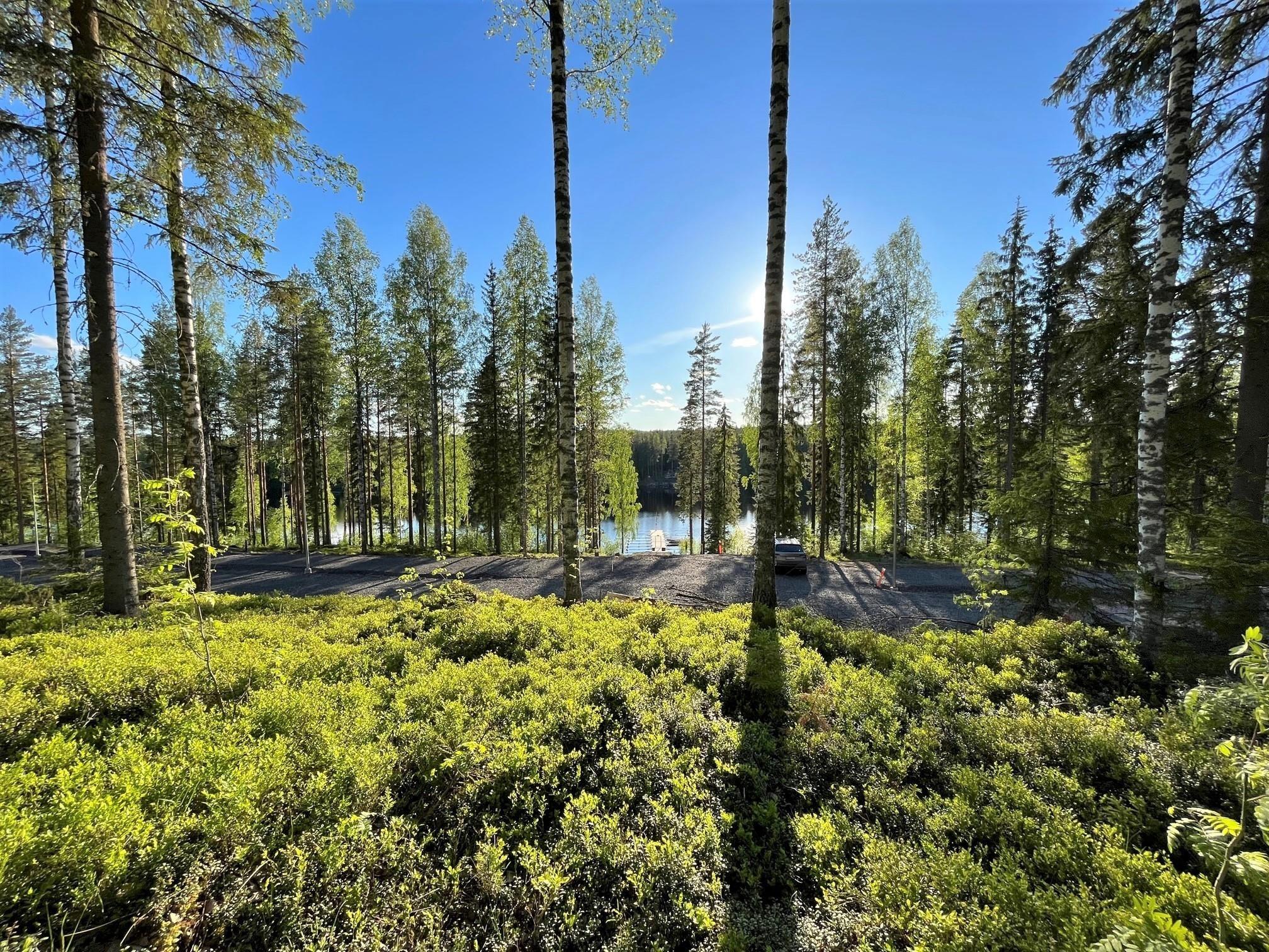 Kohdekuva 6