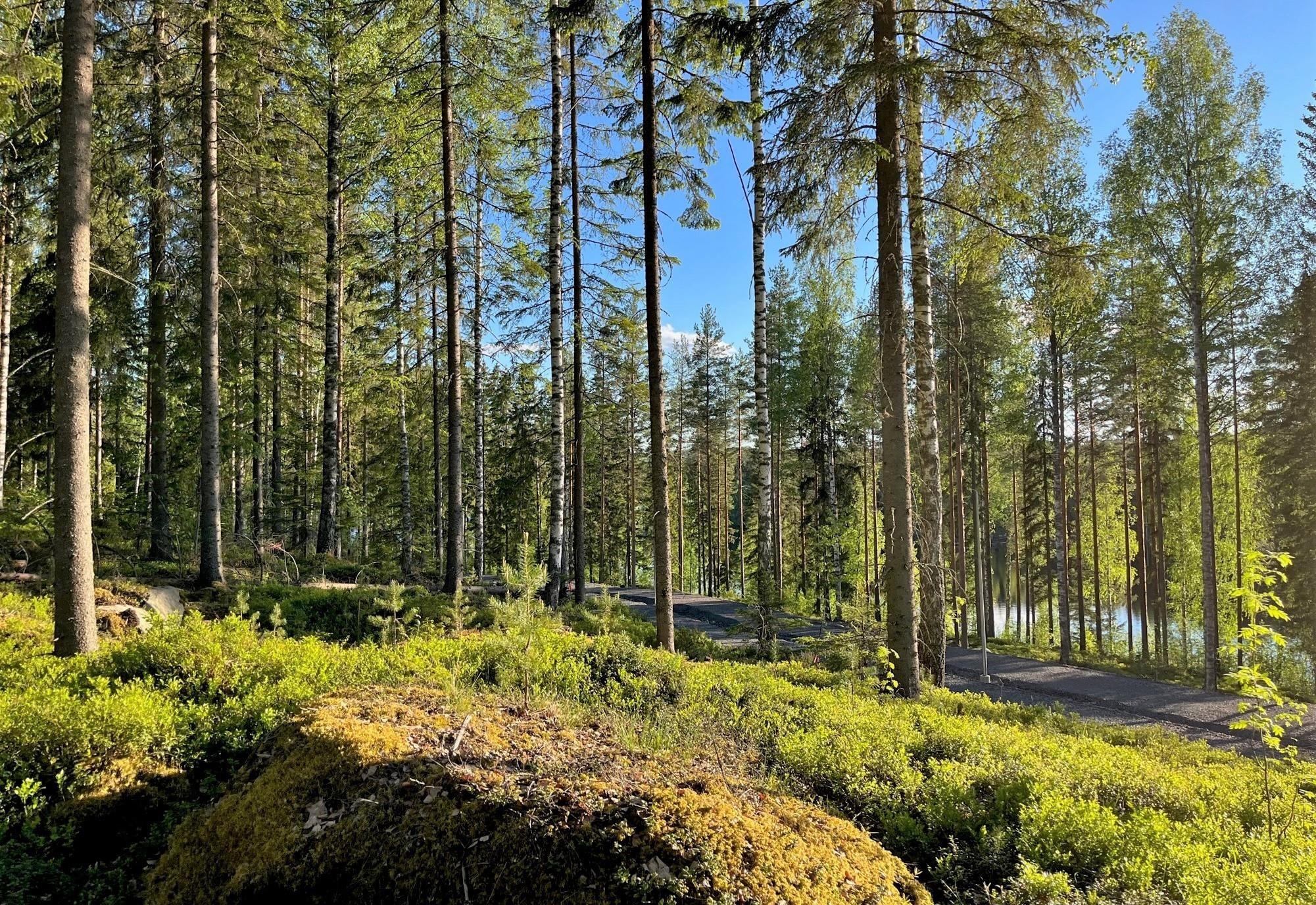 Kohdekuva 3