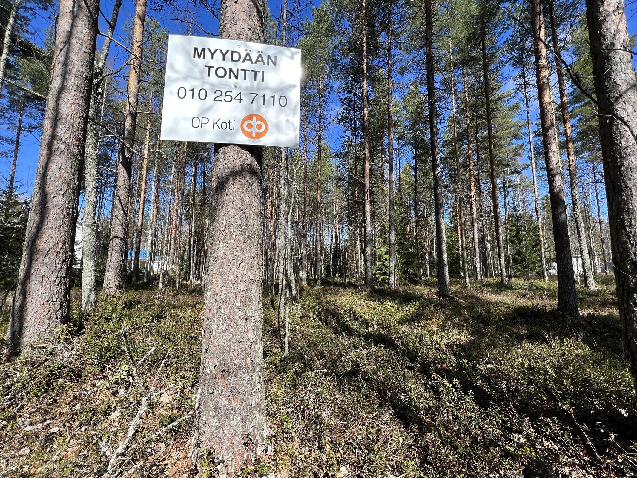 Kohdekuva 6