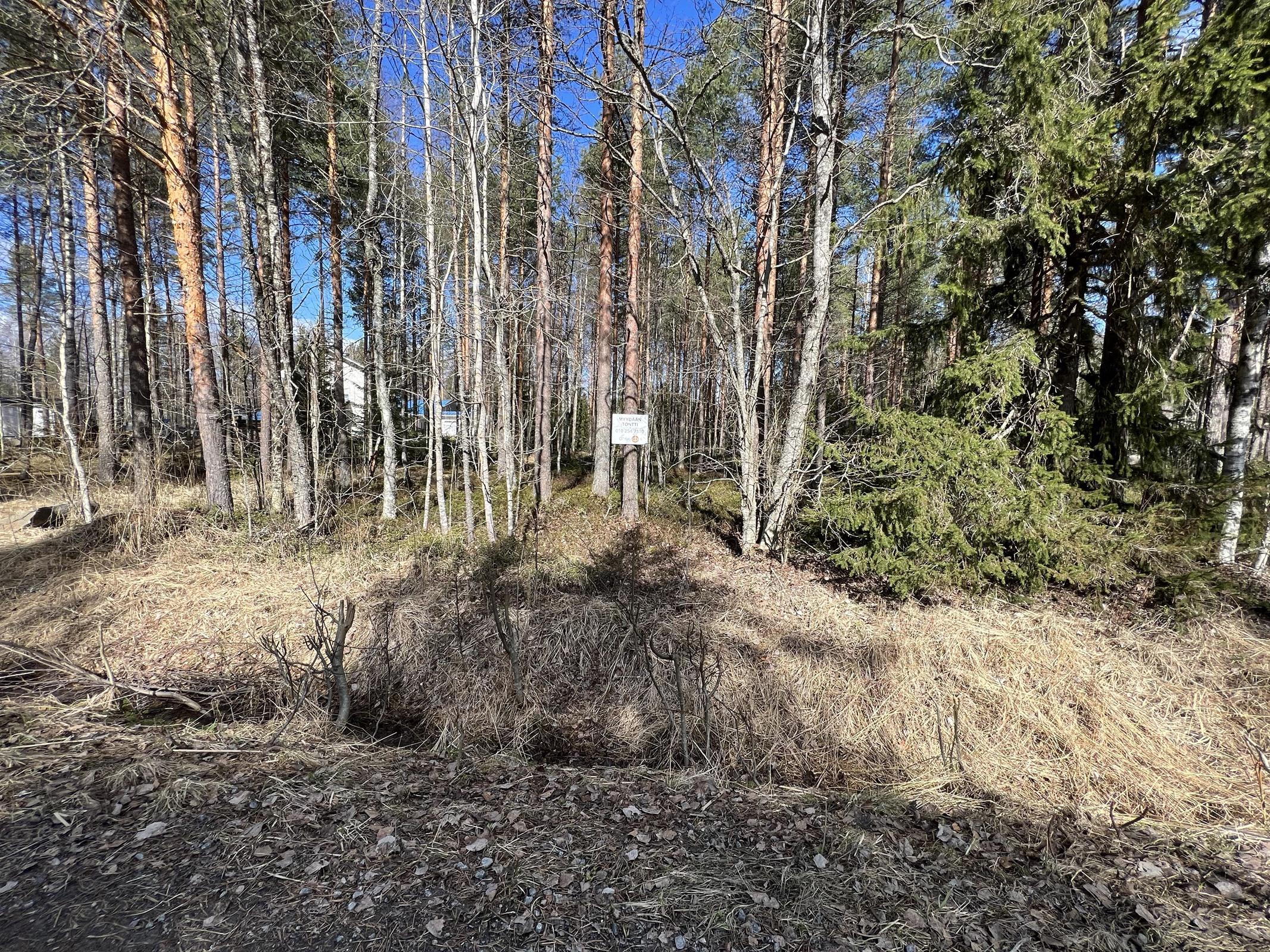 Kohdekuva 3