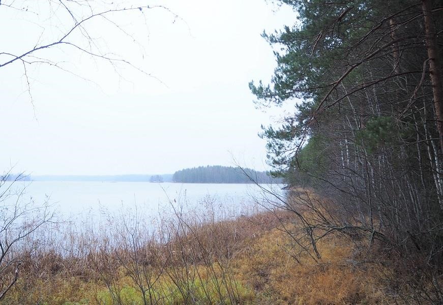Kohdekuva 2