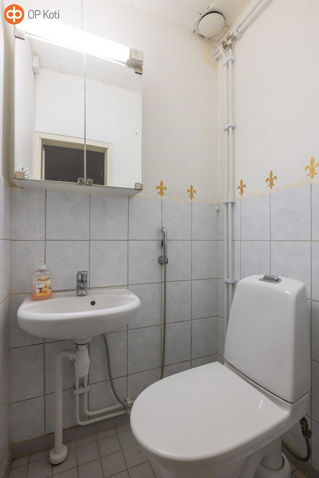 Erillinen wc