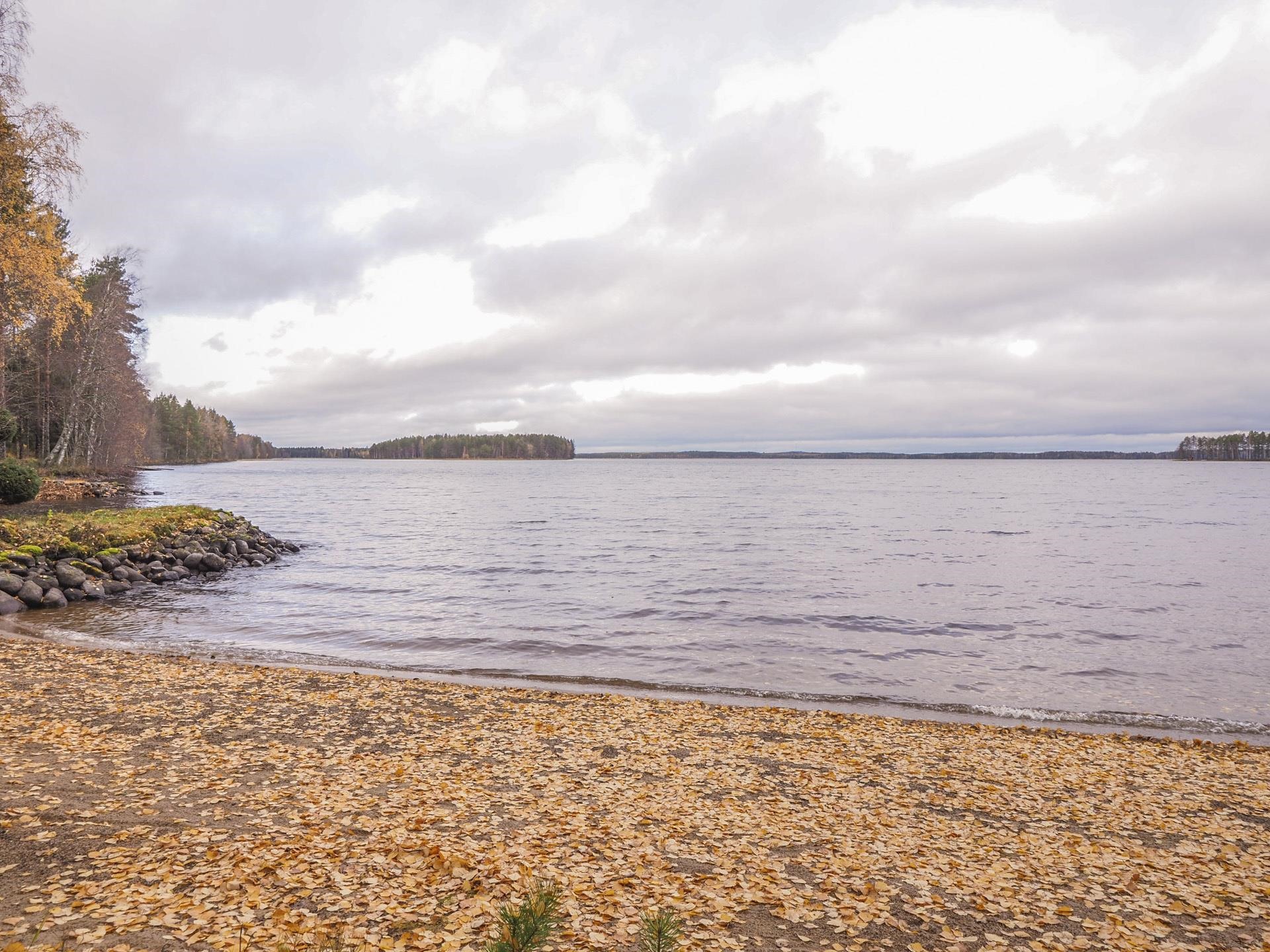 Kohdekuva 20