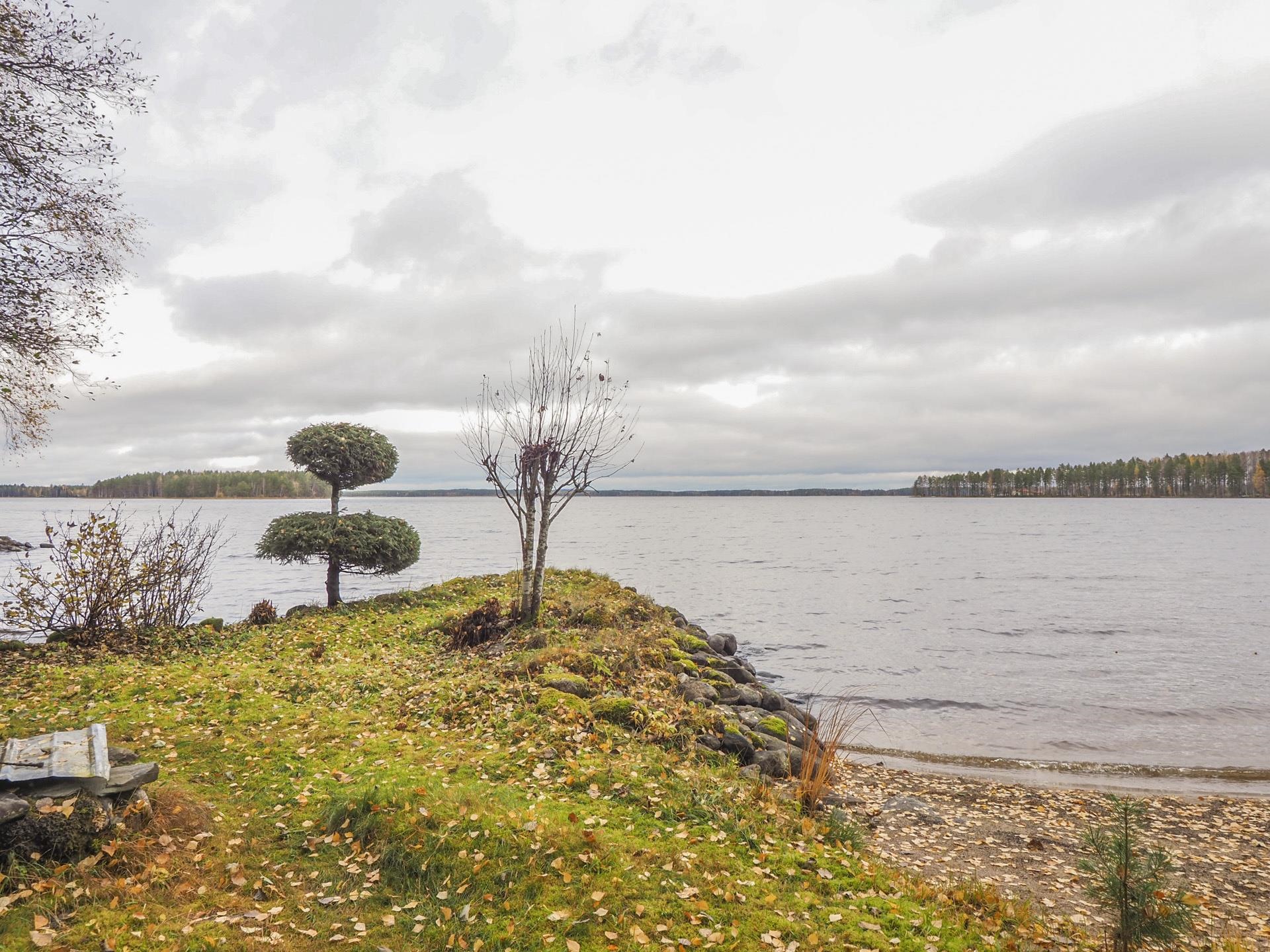 Kohdekuva 21