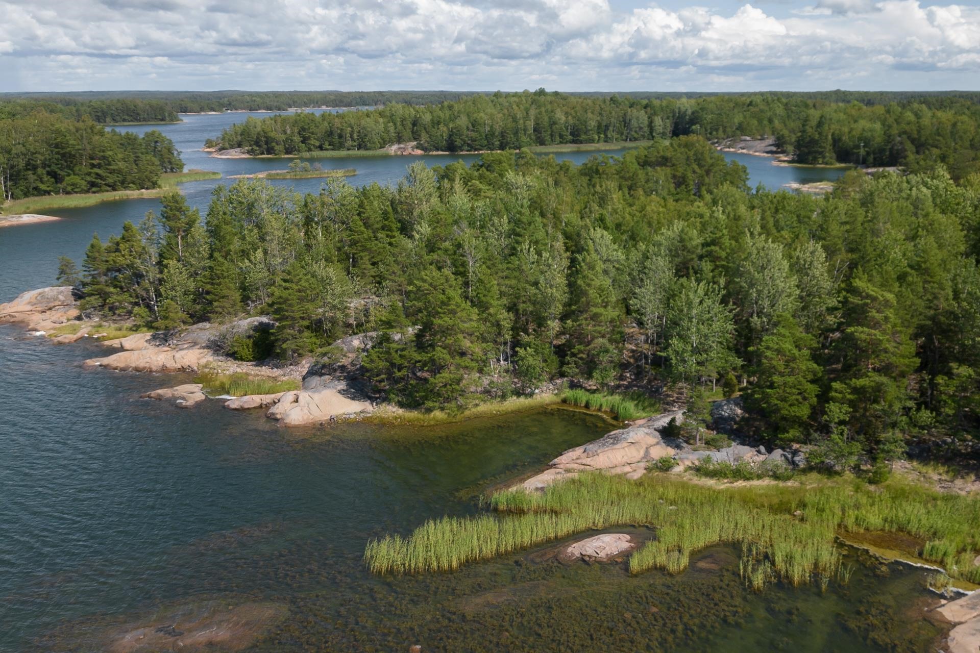 Stackörarna