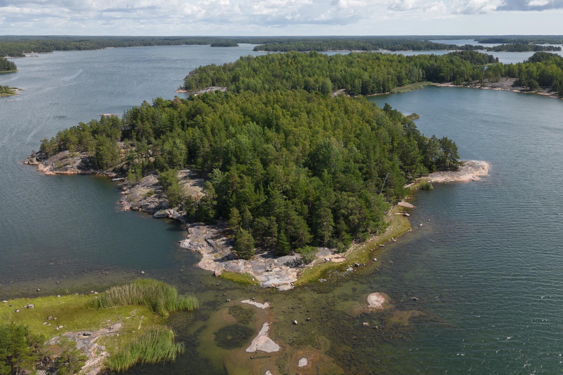 Svedjeholmen