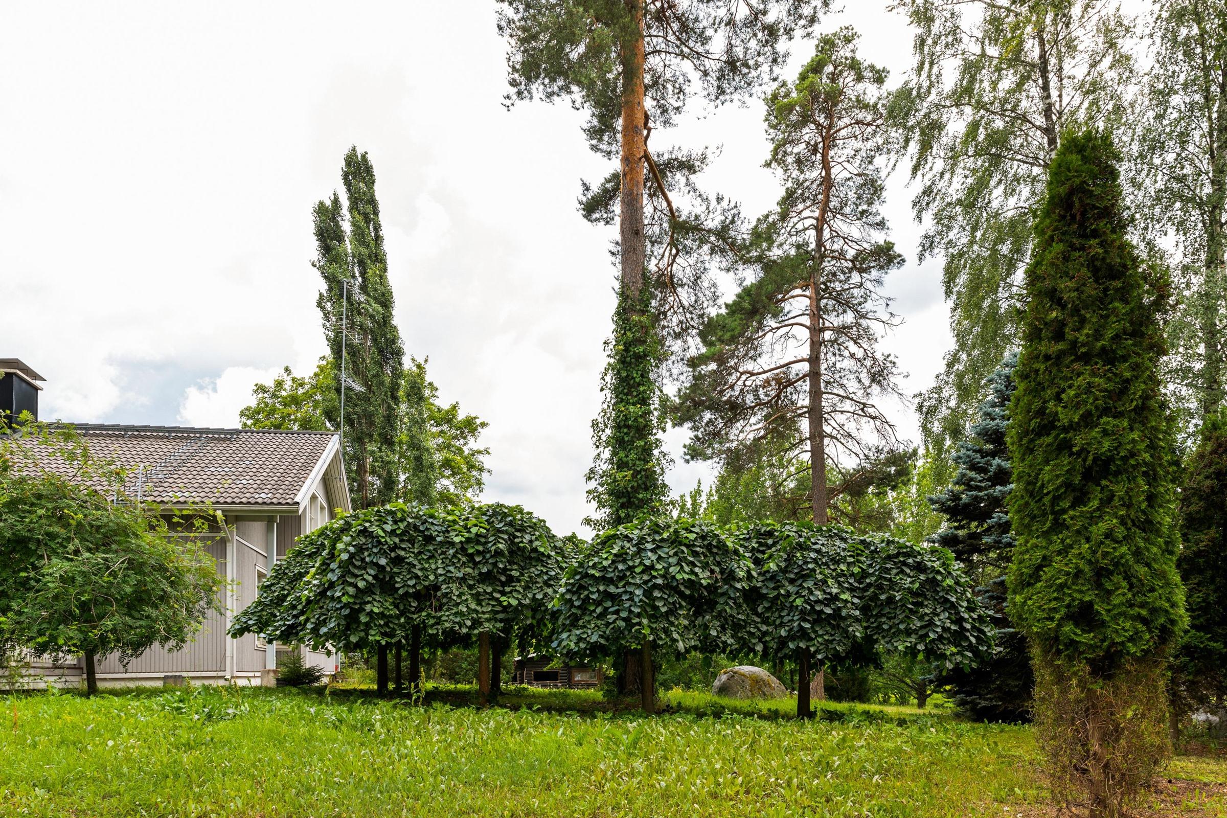 Kohdekuva 7