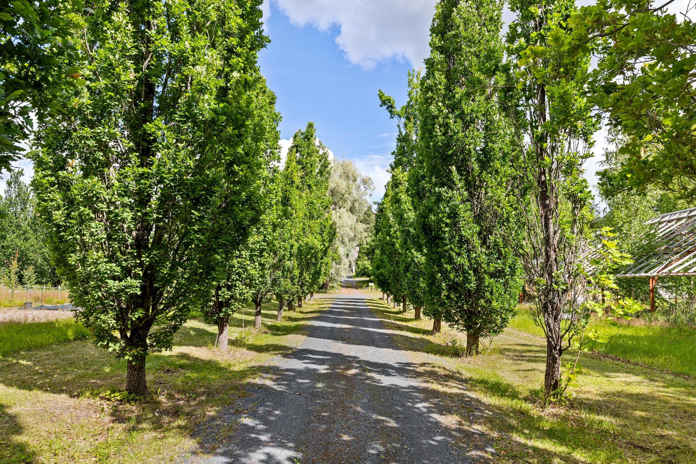 Kohdekuva 18