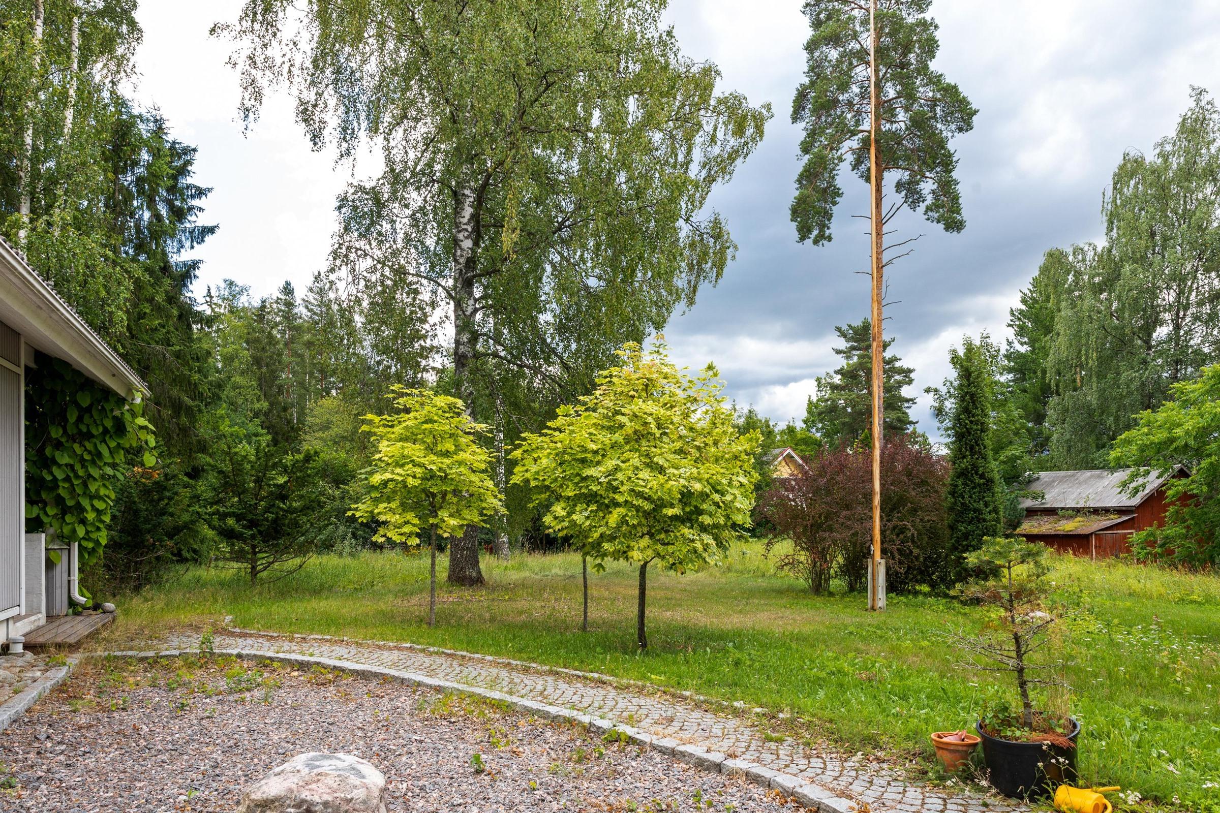 Kohdekuva 11
