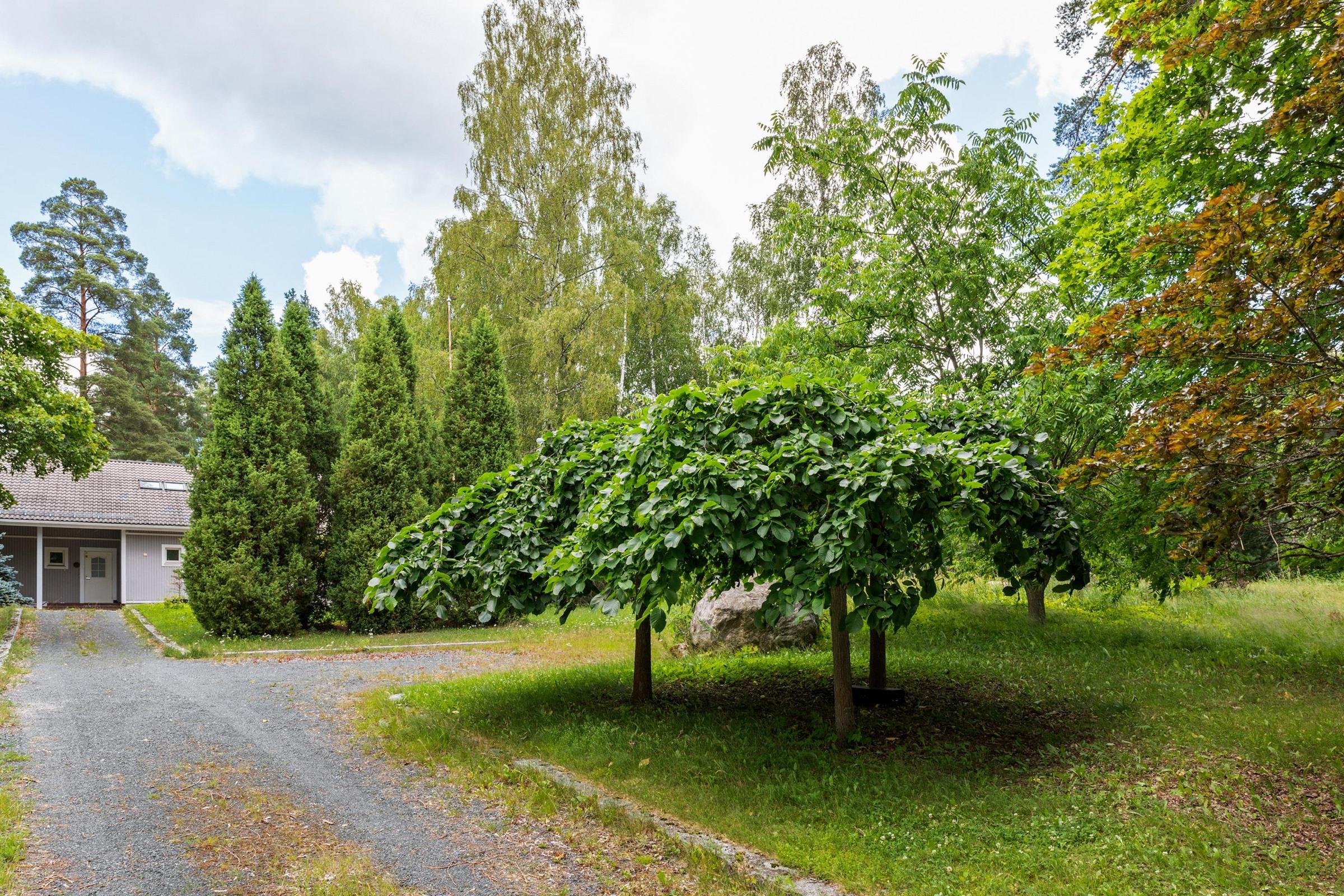 Kohdekuva 15