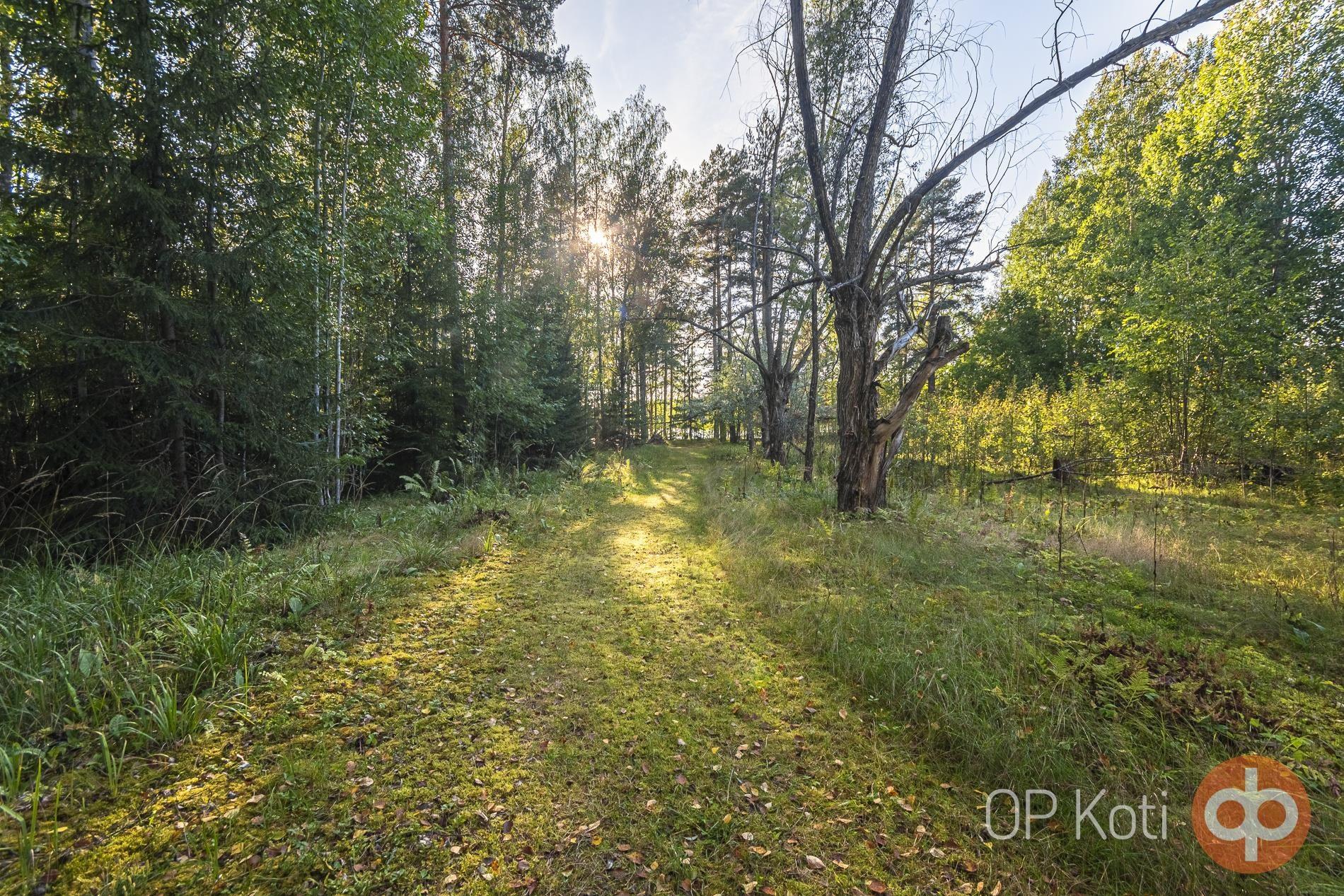 Kohdekuva 15