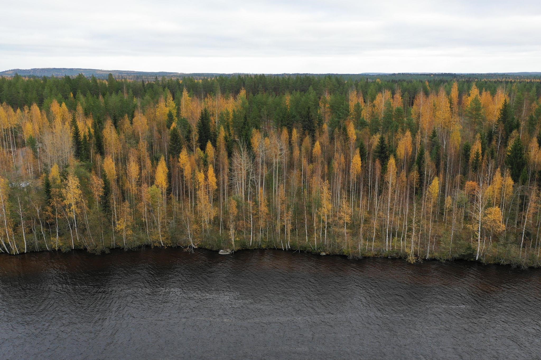 Kohdekuva 1
