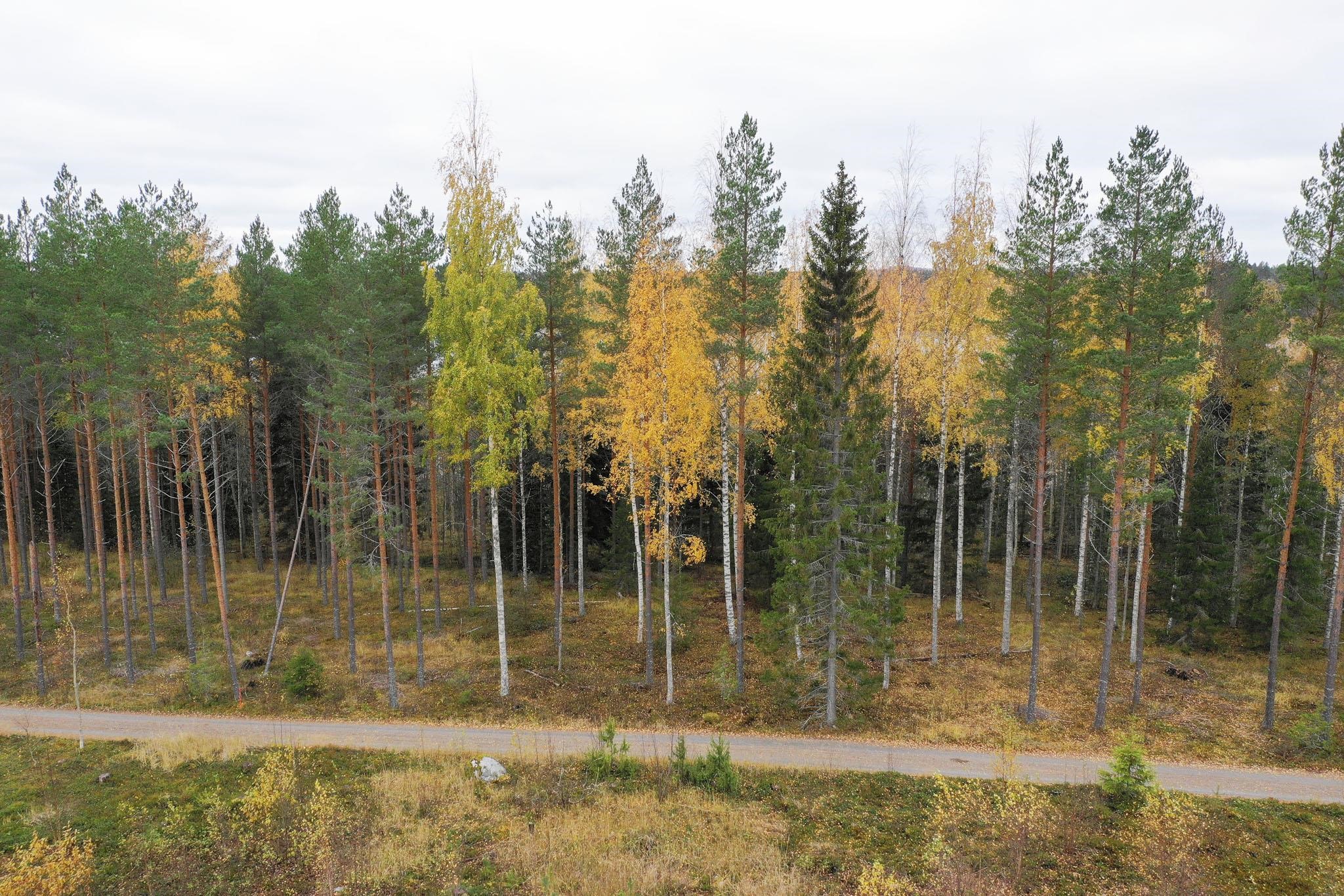 Kohdekuva 4