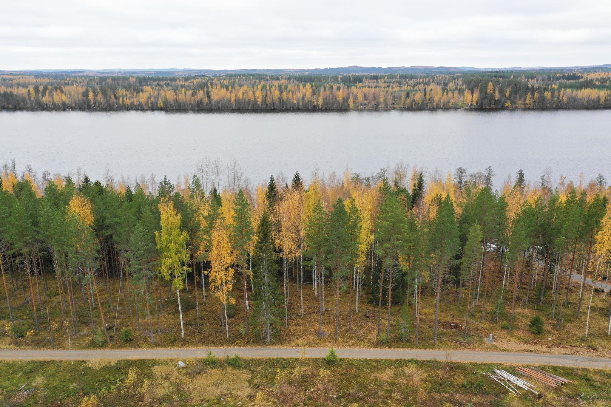 Kohdekuva 3