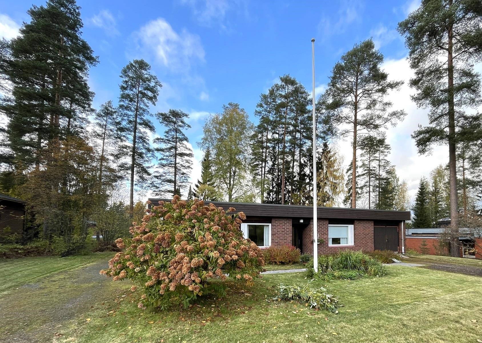 Kohdekuva 16