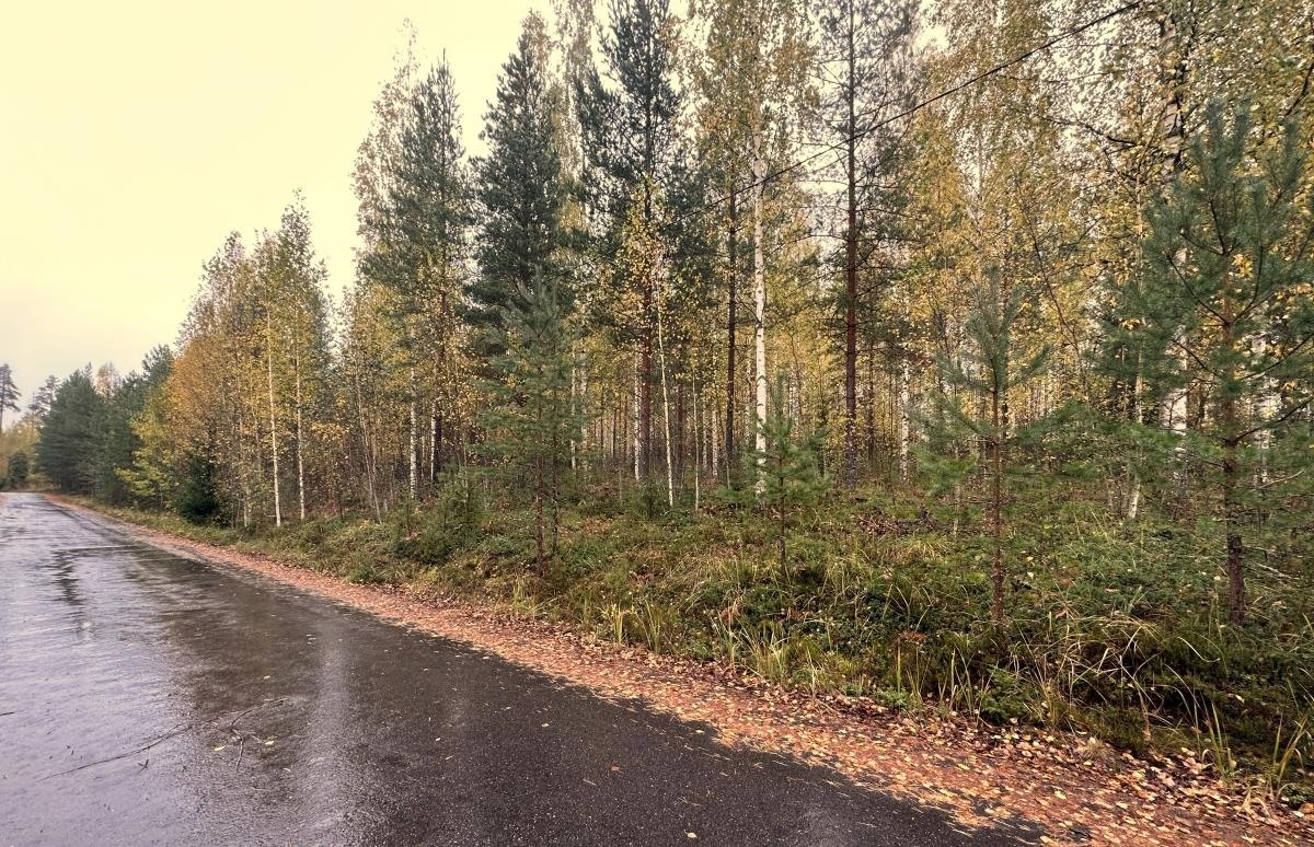 Kohdekuva 1