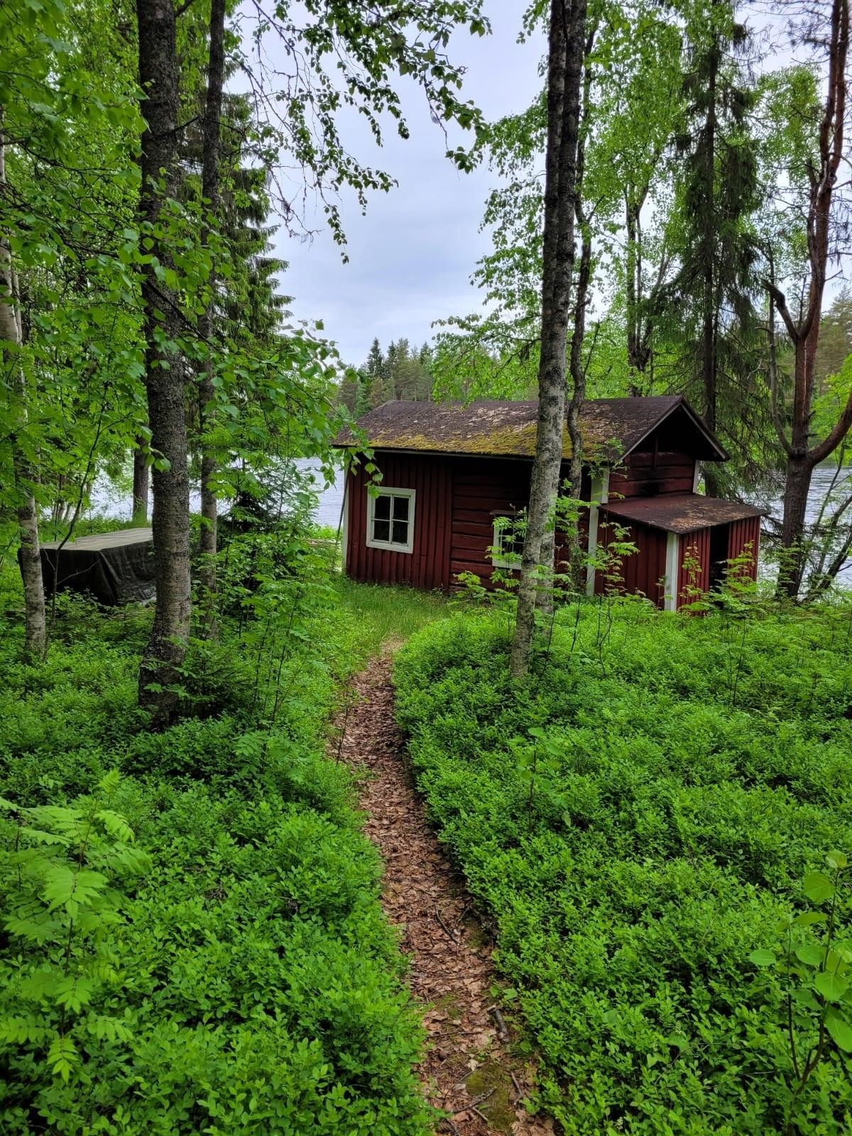 Kohdekuva 25