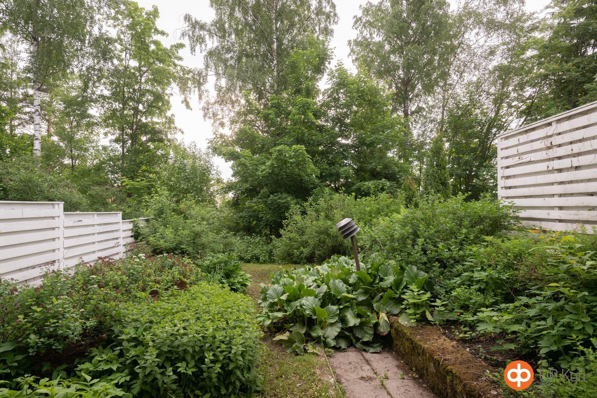 Kohdekuva 7