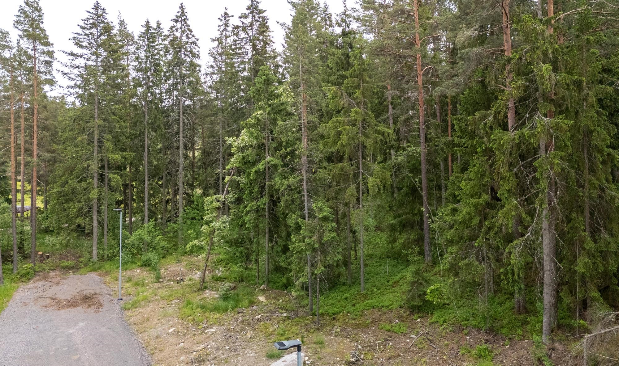 Kohdekuva 2