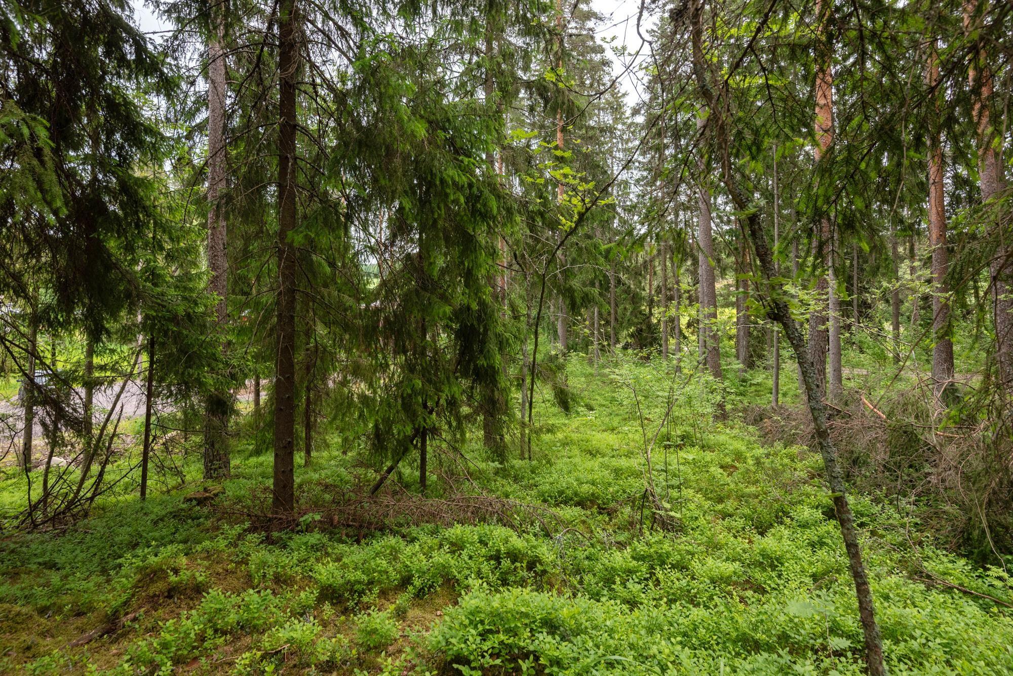 Kohdekuva 9