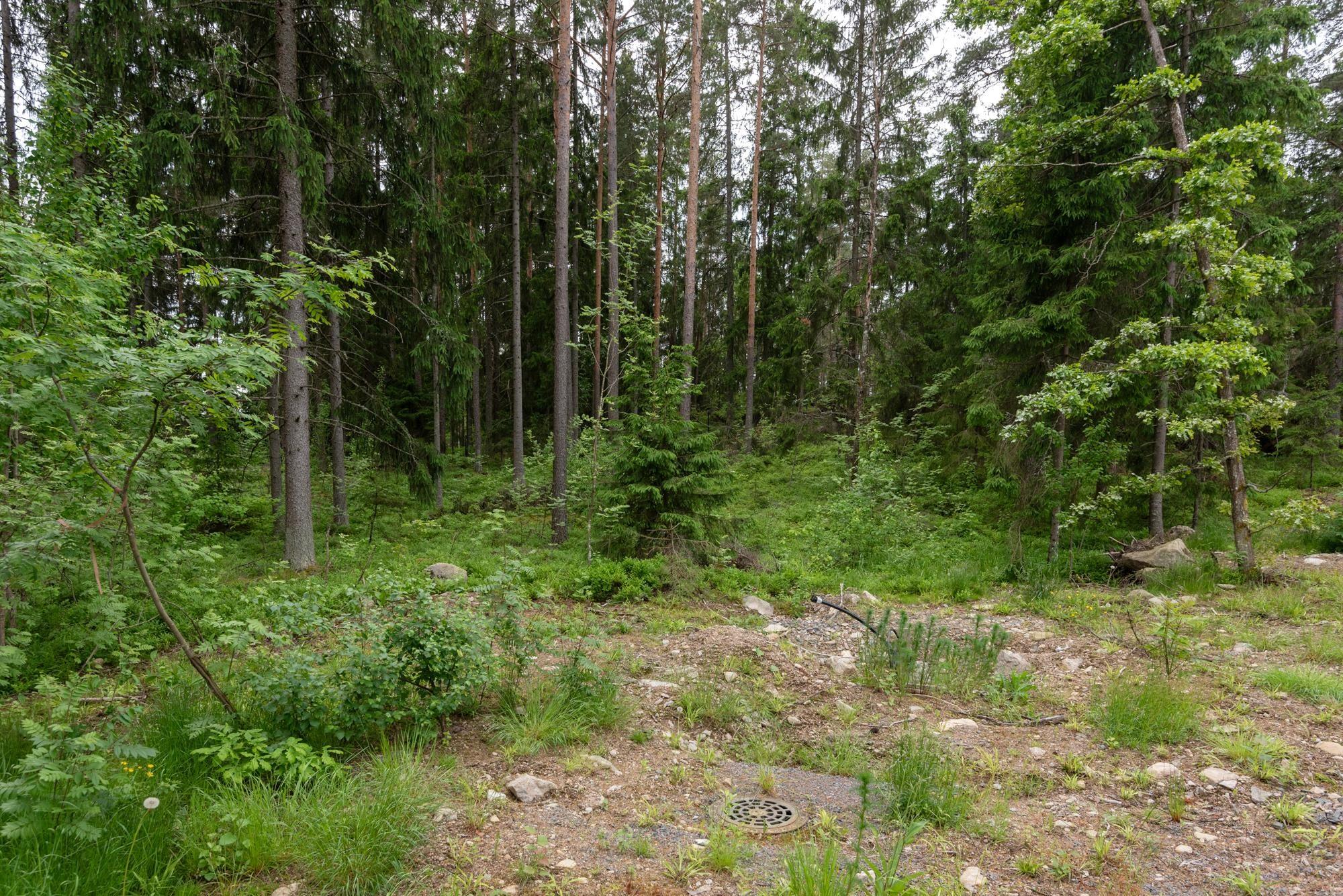 Kohdekuva 6