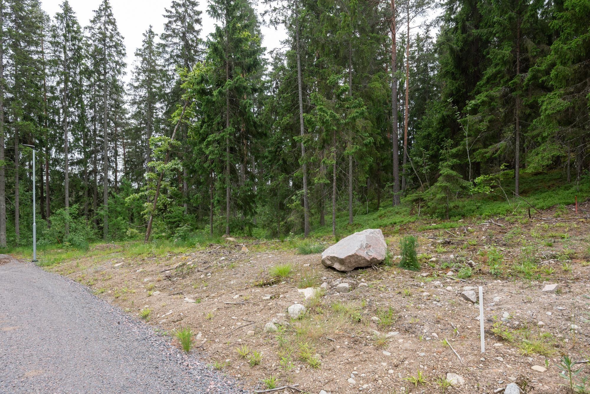 Kohdekuva 7