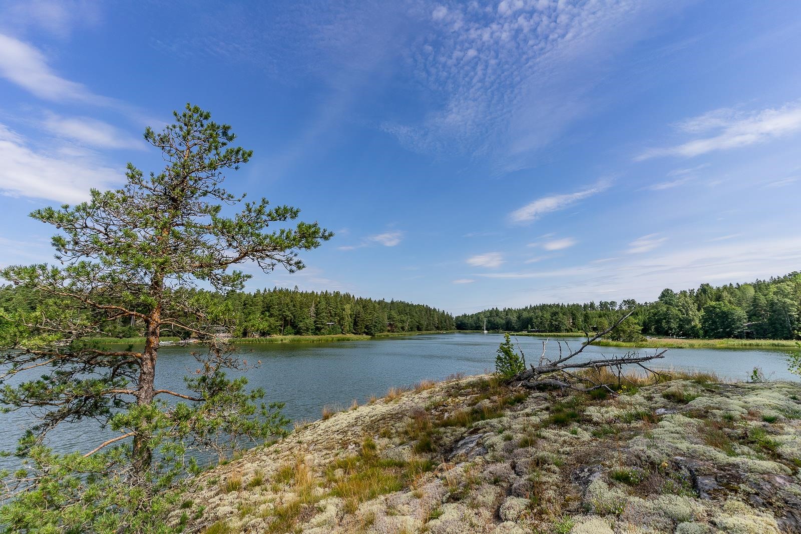 Kohdekuva 25