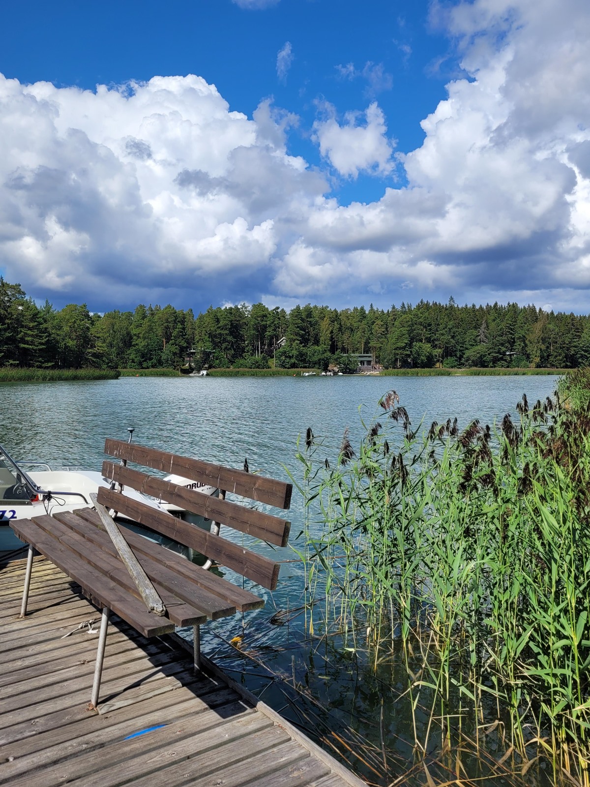 Kohdekuva 36