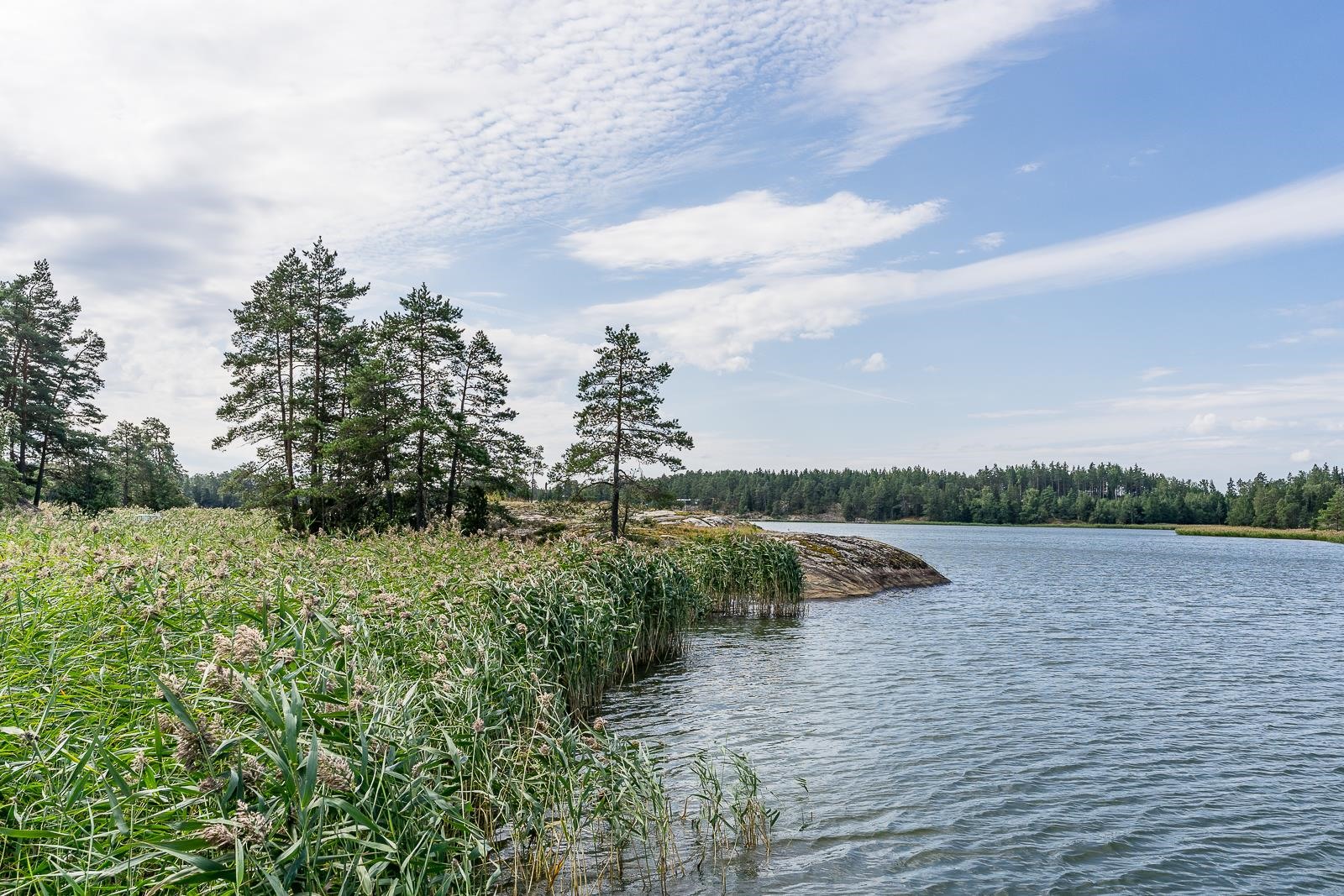 Kohdekuva 16