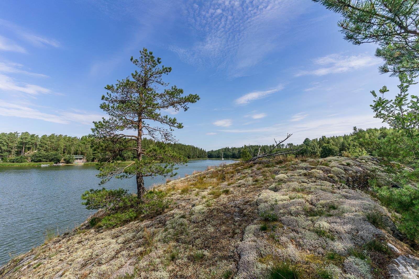 Kohdekuva 24
