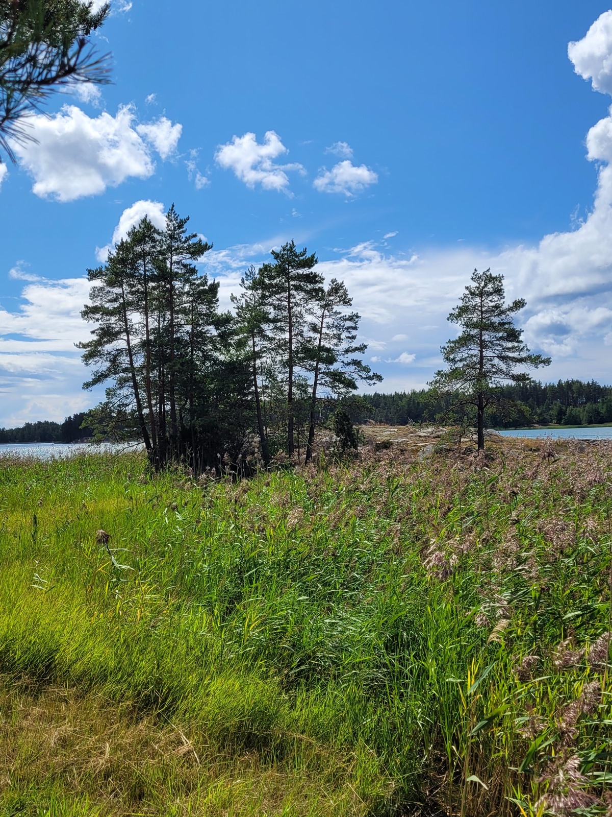 Kohdekuva 39