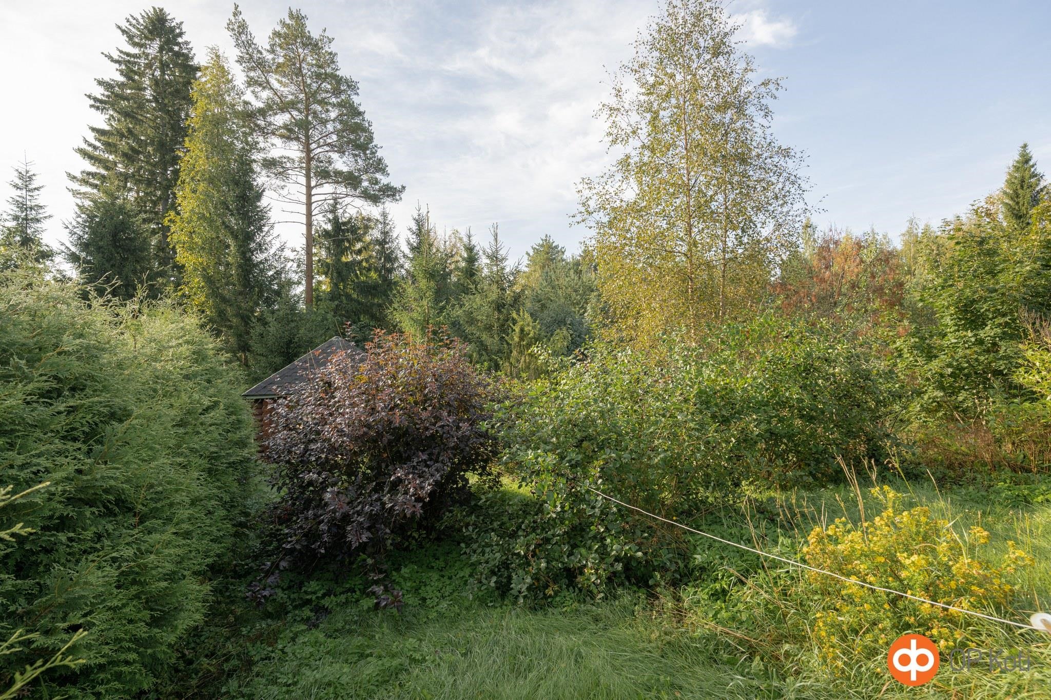 Kohdekuva 16