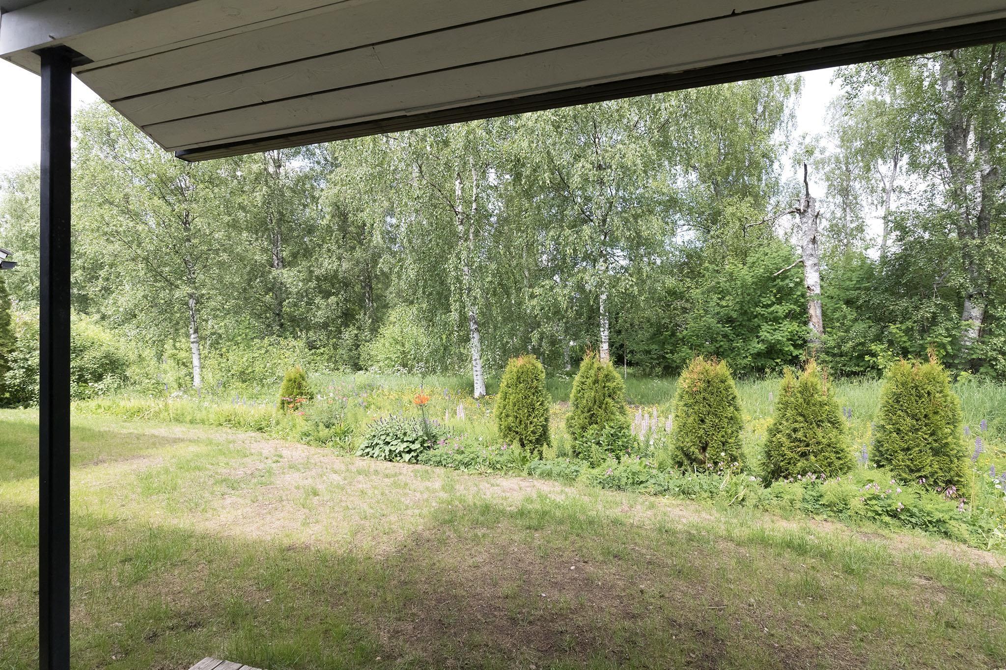 Kohdekuva 17