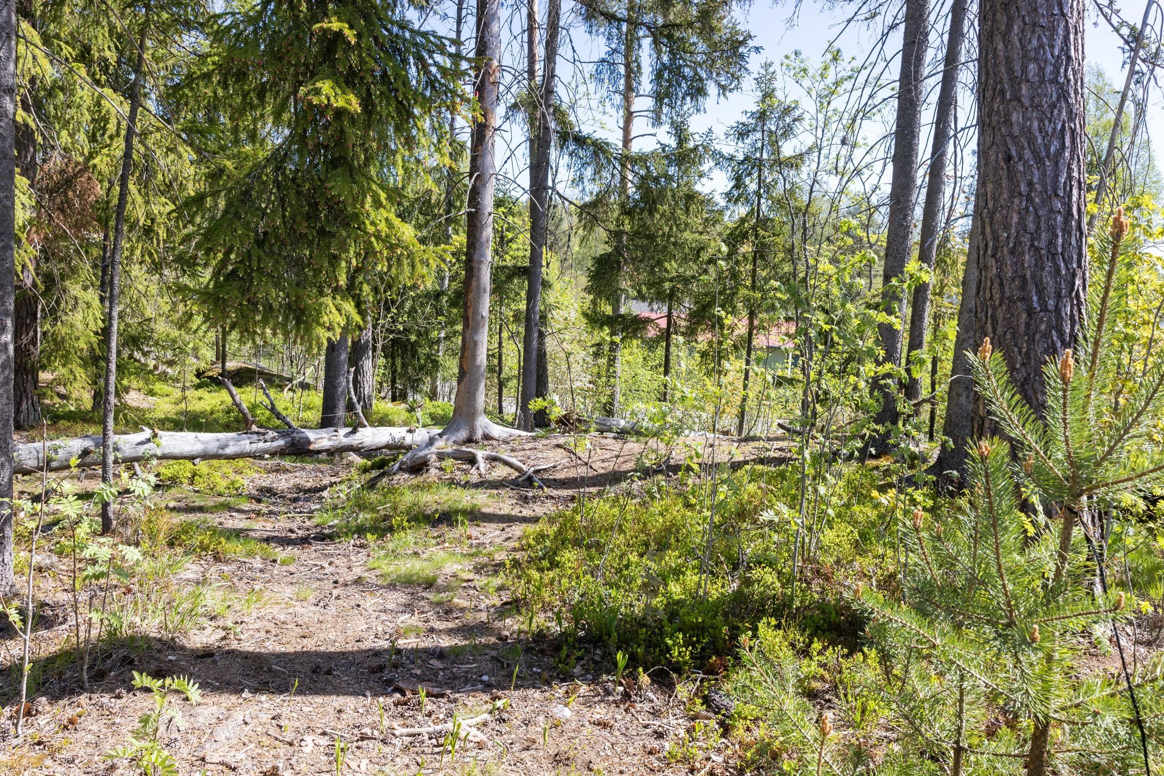 Kohdekuva 5