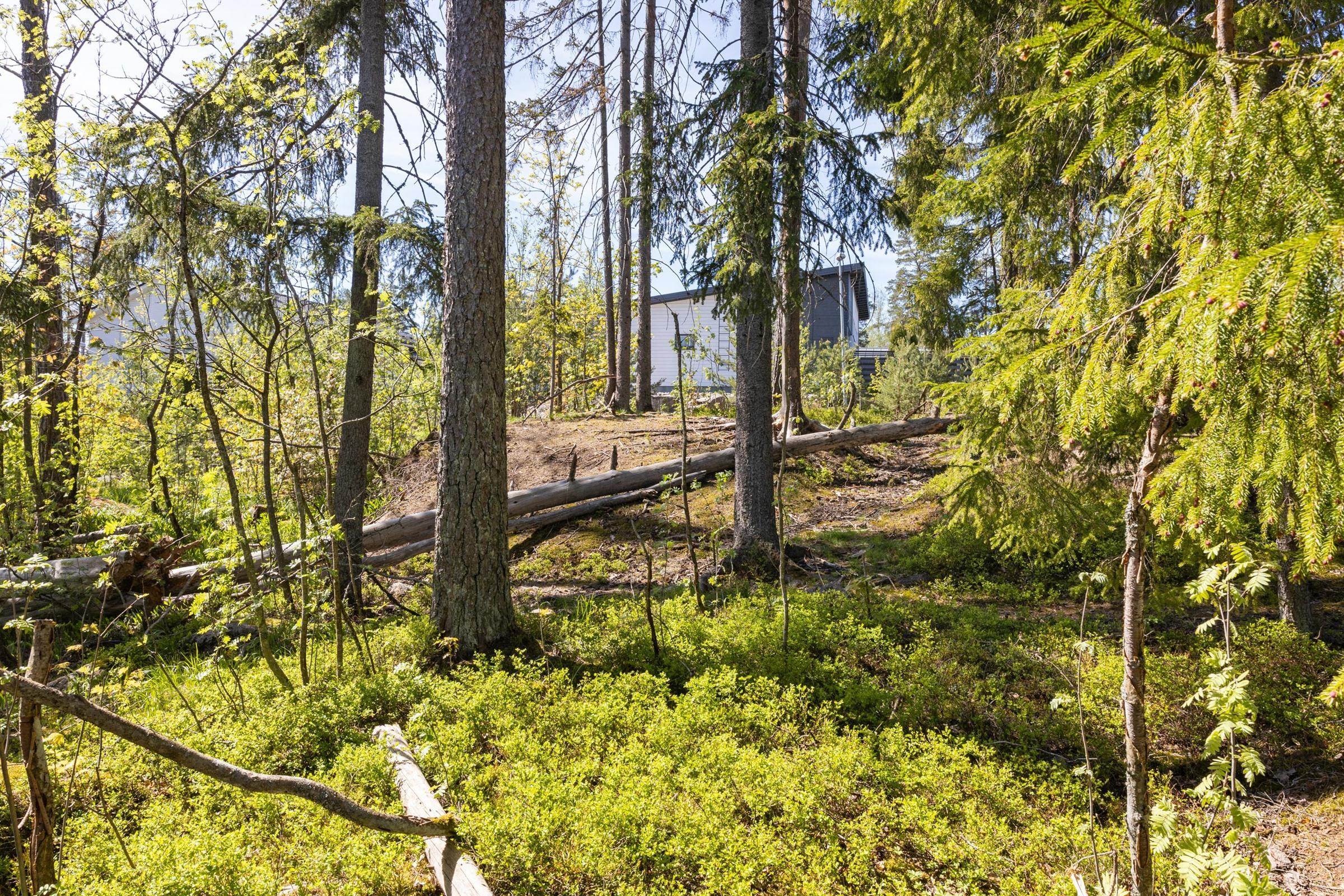 Kohdekuva 3
