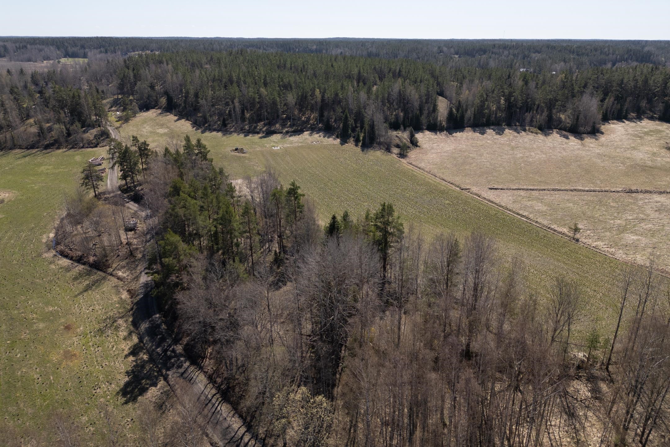 Kohdekuva 11