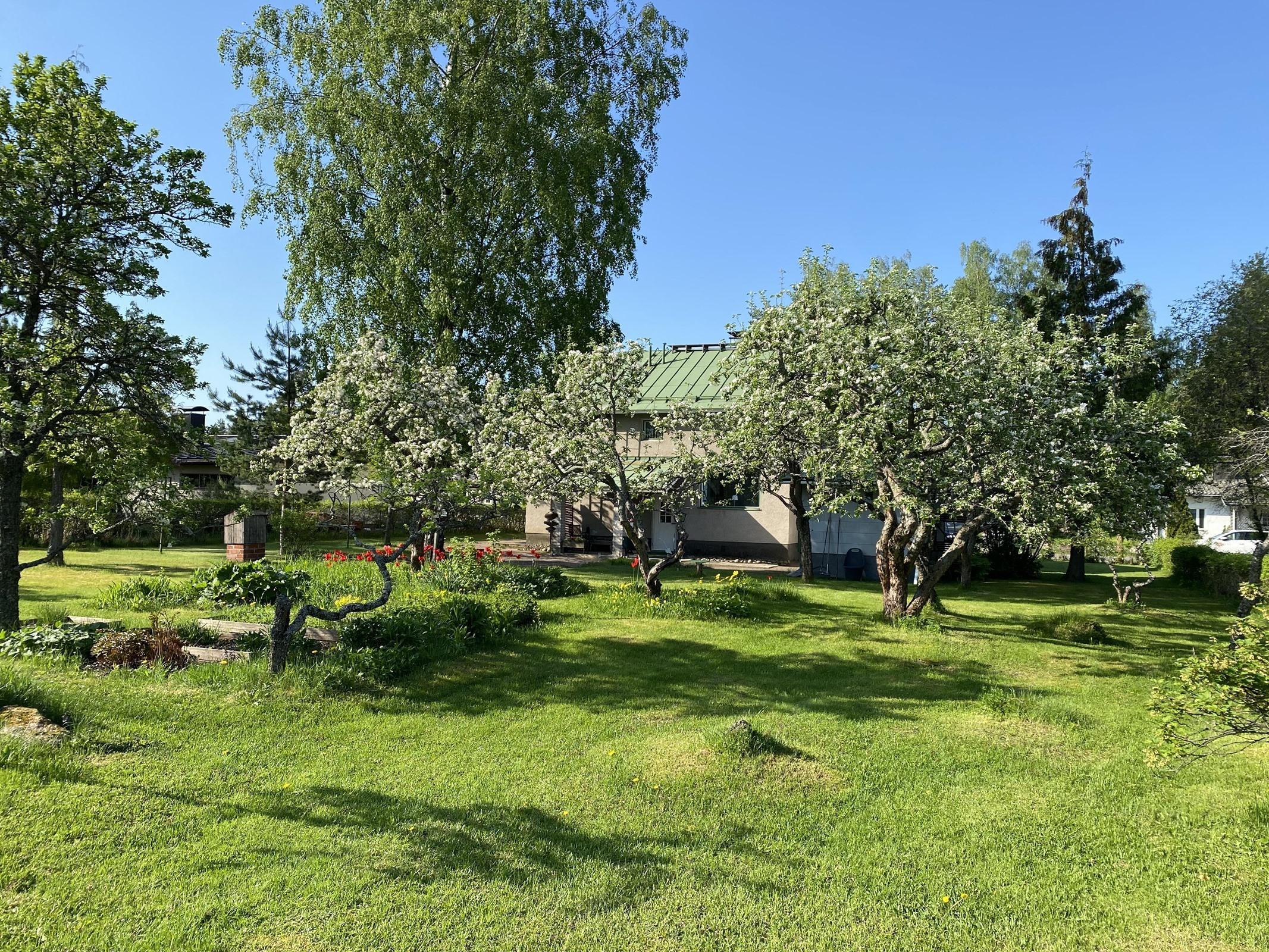 Kohdekuva 6