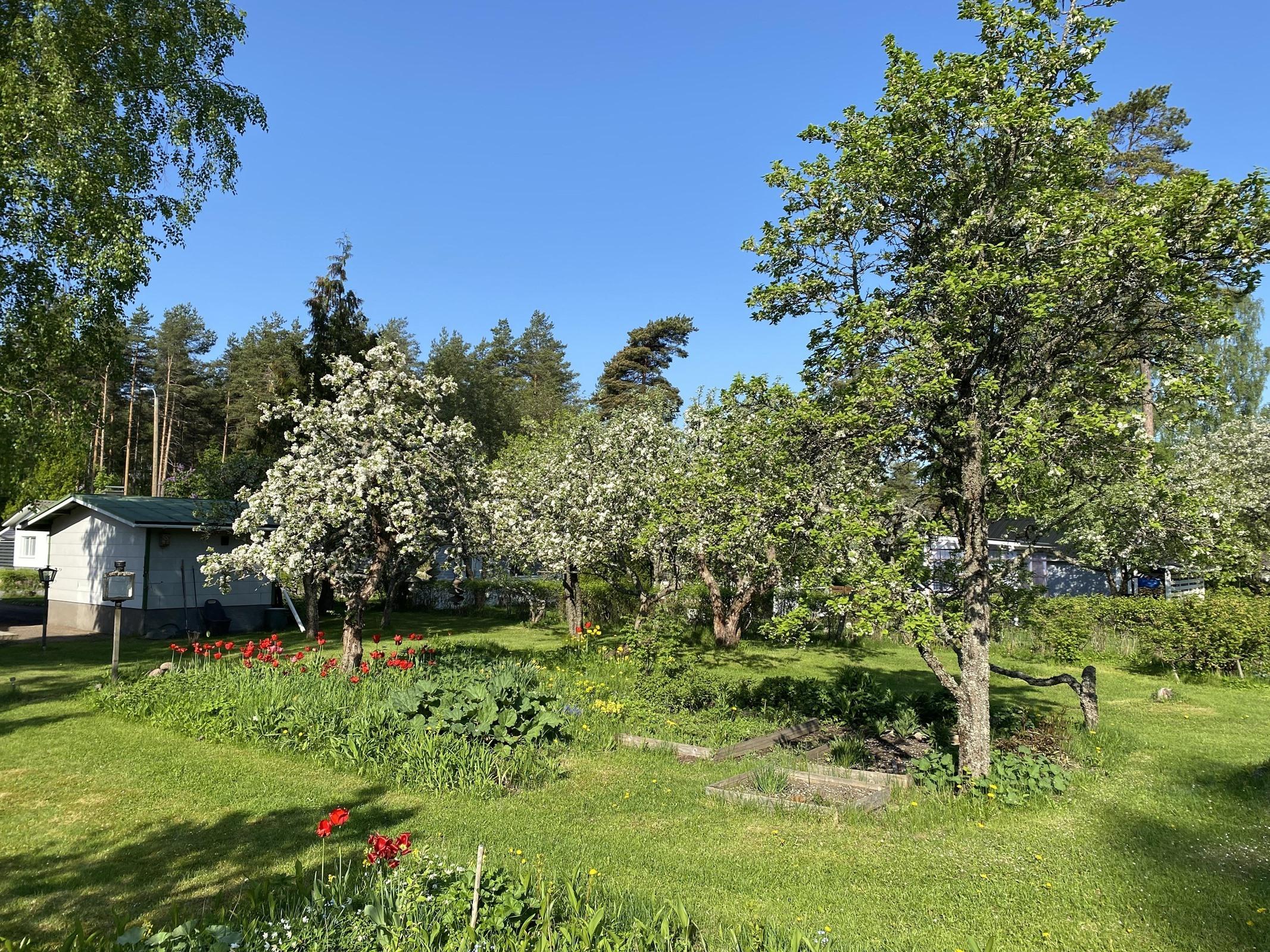 Kohdekuva 3