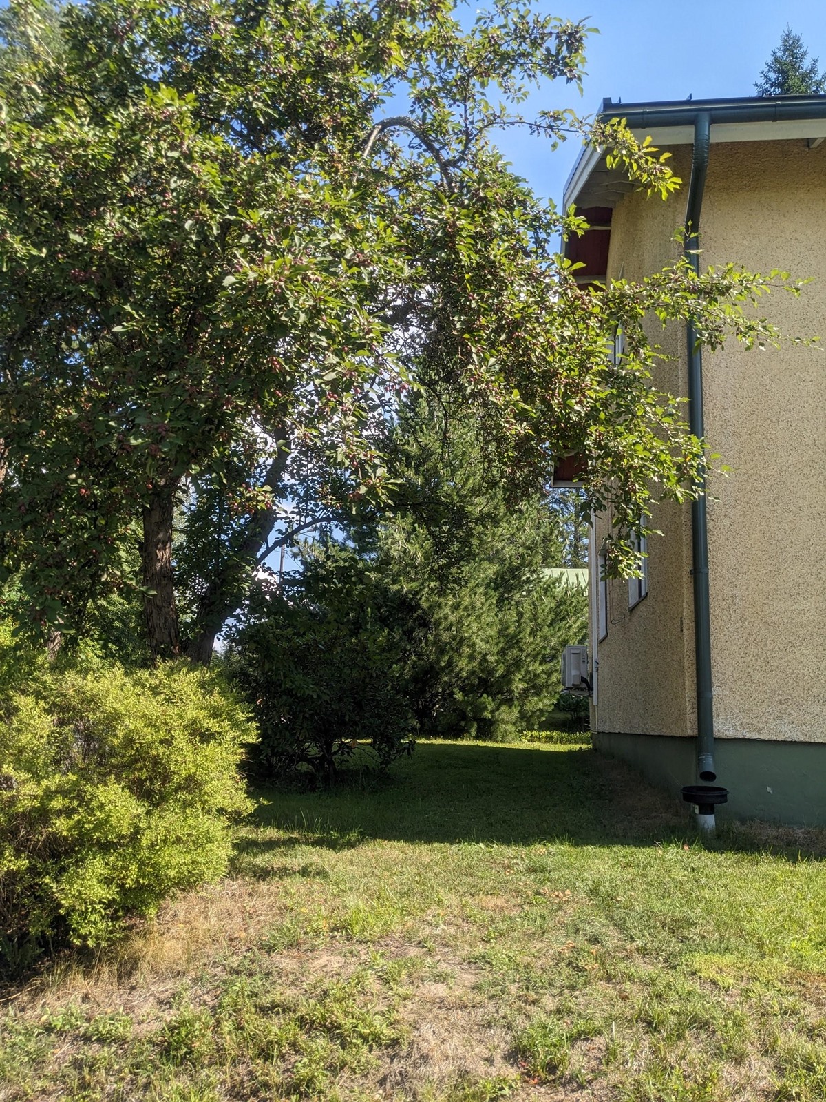Kohdekuva 22