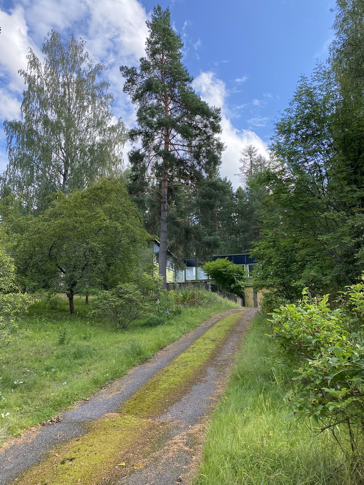 Kohdekuva 4
