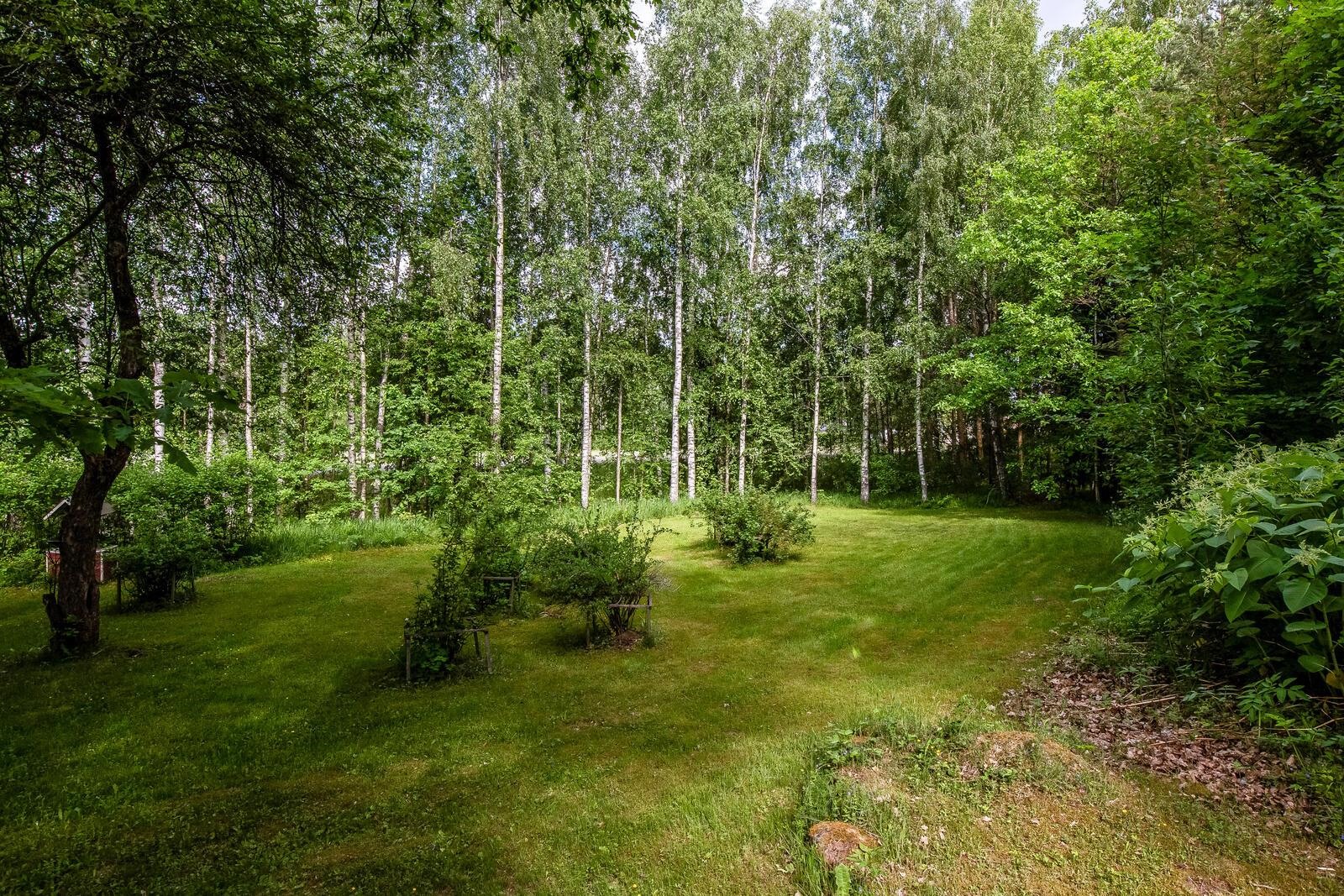 Kohdekuva 18