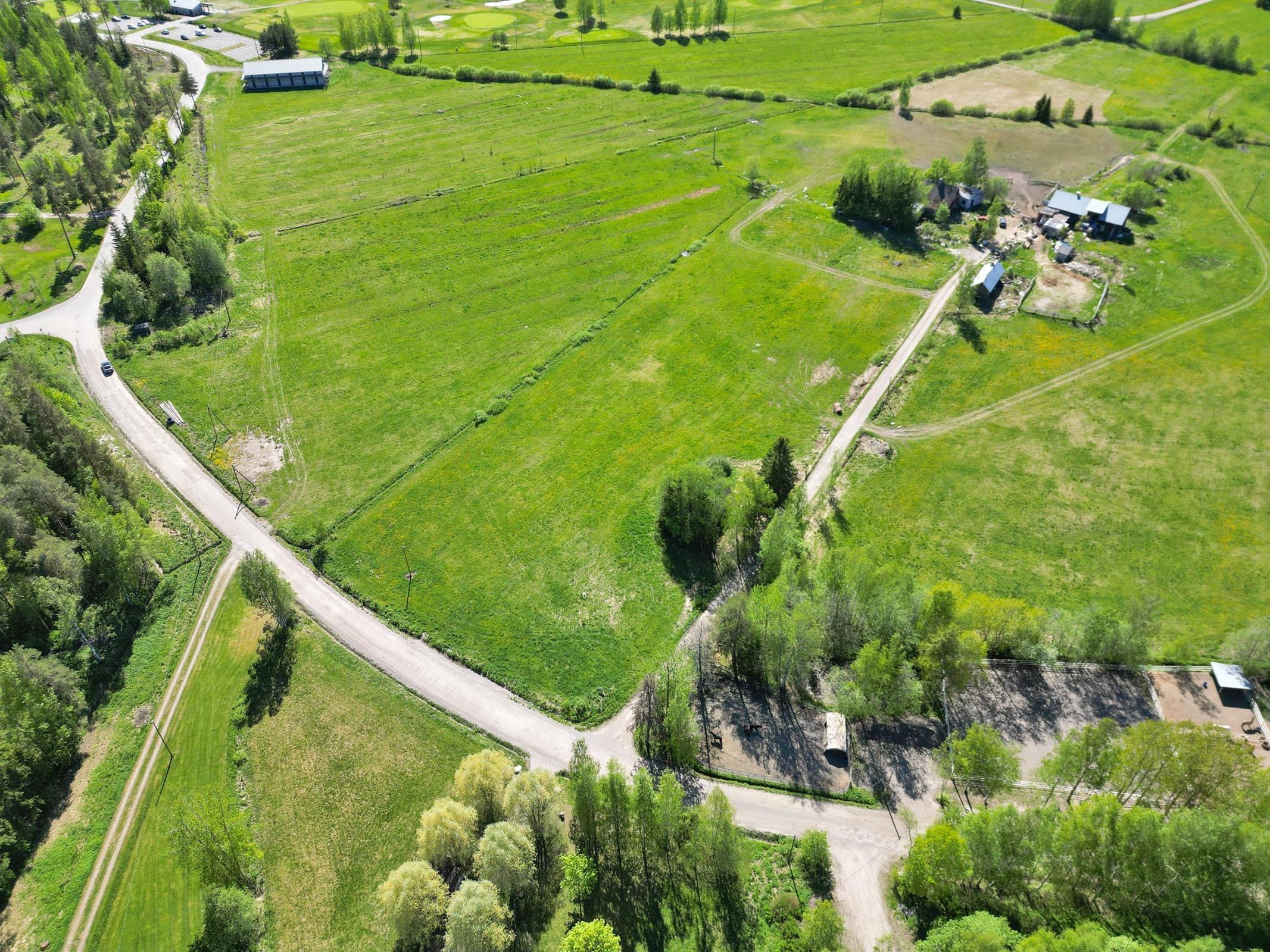 Pellon reunassa puuston suojassa