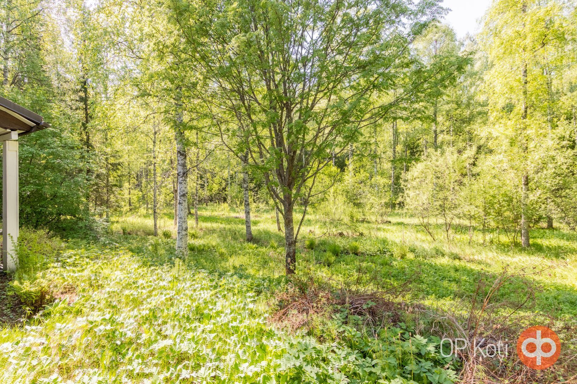 Kohdekuva 23